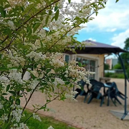 L'entraxe Tres Lumineux Au Coeur De Didier