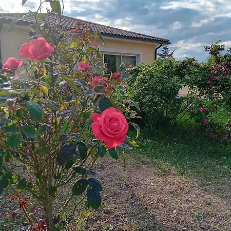 L'entraxe Tres Lumineux Au Coeur De Didier *